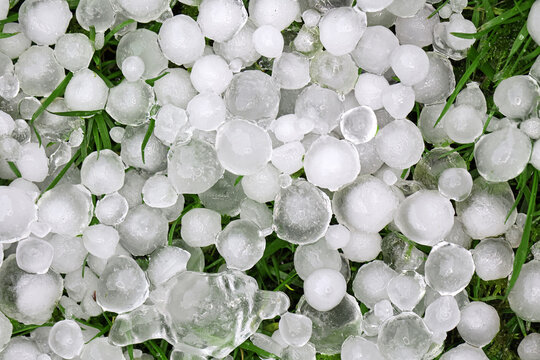 Hailstones on a garden lawn in closeup