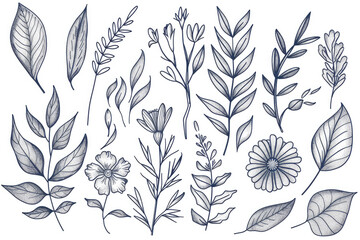 A set of black and white drawings of flowers and leaves. The drawings are of various sizes and shapes, and they are arranged in a way that creates a sense of depth and dimension