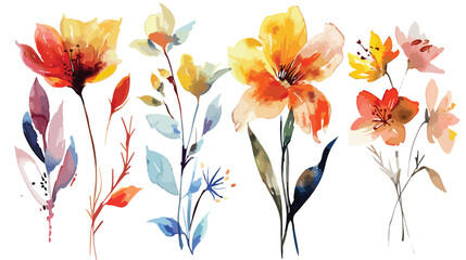 Flowers watercolor illustration.Manual composition.Bi - obrazy, fototapety, plakaty