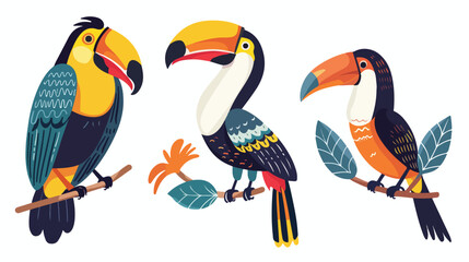 Hand drawn beautiful tropical Birds flat vector isolated