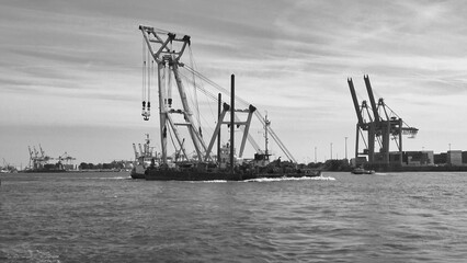 Obraz premium Crane in the harbor