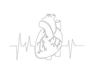 Continuous one line drawing of human heart organ. One line of anatomical human heart. Medical internal concept continuous line art. Editable outline.
