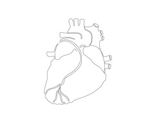 Continuous one line drawing of human heart organ. One line of anatomical human heart. Medical internal concept continuous line art. Editable outline.
