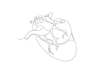 Continuous one line drawing of human heart organ. One line of anatomical human heart. Medical internal concept continuous line art. Editable outline.
