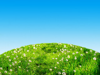 Blue sky and summer green field landscape - 773266774
