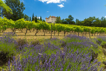 Aiguines castle with vineyard, Alpes-de-Haute-Provence, Provence, France