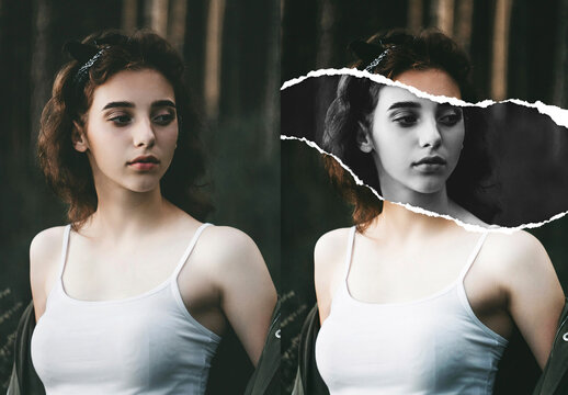 Torn Paper Fx