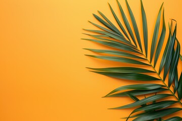Palm Leaves on yellow solid color. Tropical palm leaf on orange background. Creative nature layout. Flat lay. Summer design concept. Botanical frame, wedding invitation, holiday branding. Copy space