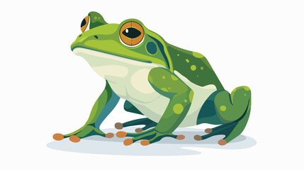Illustration of a funny frog flat vector isolated on