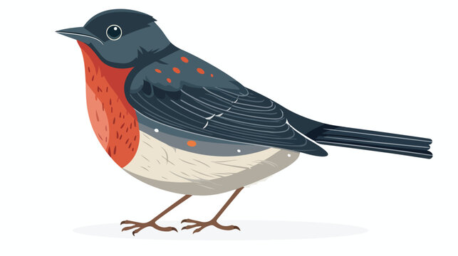 Illustration of red bellied thrush flat vector isolated