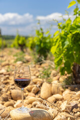 Typical vineyard with stones near Chateauneuf-du-Pape, Cotes du Rhone, France - obrazy, fototapety, plakaty