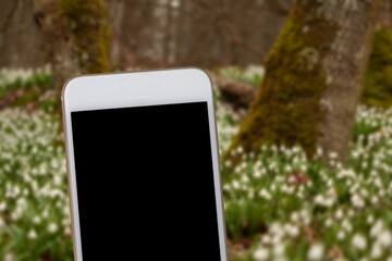 modern smartphone with blank screen at park background - 773272100