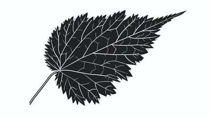 Isolated vector monochrome nettle leaf. flat vector i