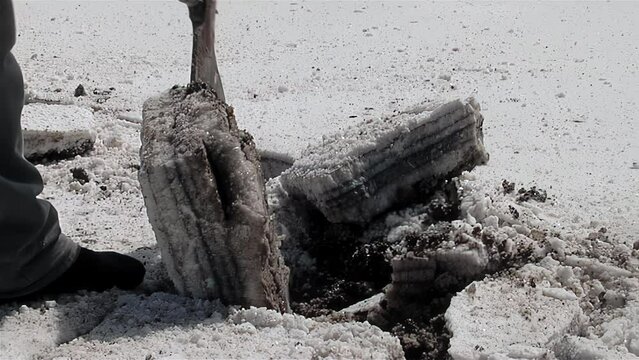 Worker Extracting Salt Slabs at Salinas Grandes Salt Flats, Salta, Argentina - 4K