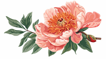 Vector illustration with peony flower flat vector isolated