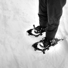 Snowshoeing in the Winter Snow