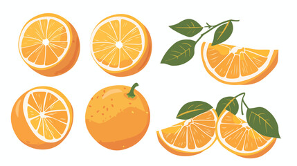 Vector orange fruit flat vector isolated on white background