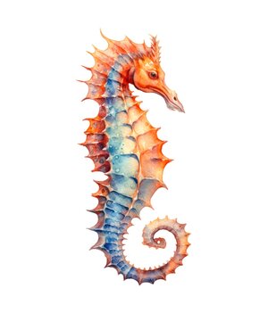Watercolor illustration of a red seahorse isolated on white background.