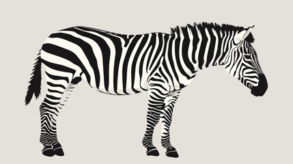 Fototapeta na wymiar Zebra black and white vector illustration flat vector