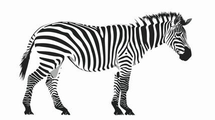 Fototapeta na wymiar Zebra black and white vector illustration flat vector