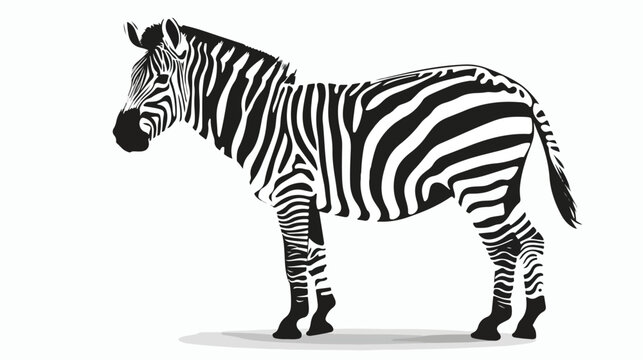 Zebra black and white vector illustration flat vector
