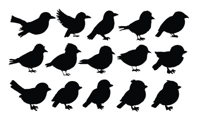 Set of black bird silhouettes. Vector elements for design