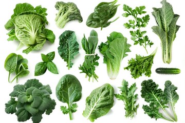 Variety of leafy green vegetables