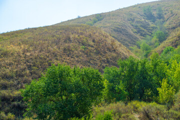 Enjoy a scenic walk through the foothills. Challenge yourself with a steep hill climb. Bask in the sun on a beautiful summer day.