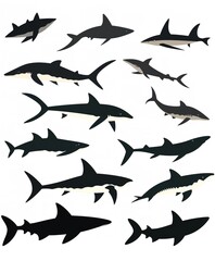 Fototapeta premium Vector Silhouettes of Different Sea Animals: Vector Elements