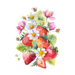 Watercolor illustration of strawberry isolated on white background.