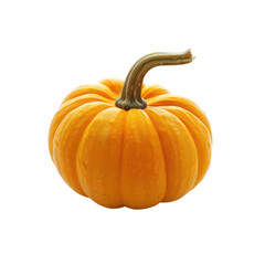 Mini pumpkin isolated on transparent background