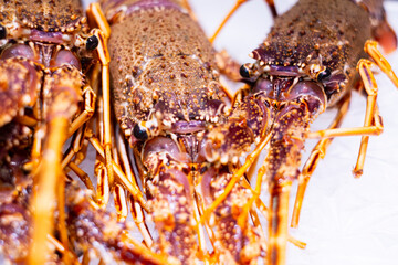 Langosta, pescadería del supermercado