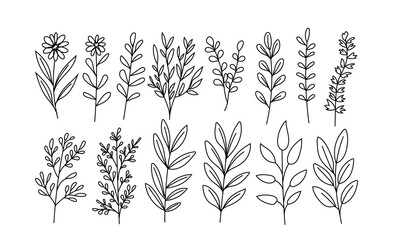 Set of hand-drawn doodles of wild flowers and plants