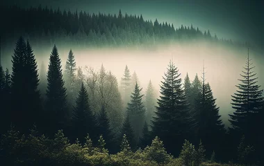 Foto op Plexiglas Misty foggy landscape with coniferous trees. © Airobert