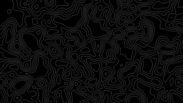 Gray outline topographic contour map abstract tech motion graphic design. Geometric background. Video animation Ultra HD 4K 3840x2160.Abstract animated outline topographic contour map. TECHNOLOGY