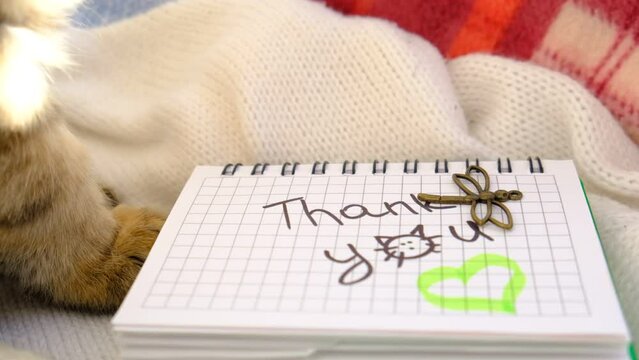 Text Thank You on paper, notepad. Relaxing tabby cat. Wedding, Birthday, Valentines Day, dating.