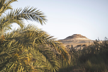 Sand desert in Siwa Oasis, Egypt - obrazy, fototapety, plakaty