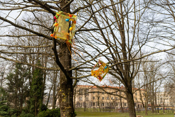 Deciduous tree with yellow flowers, Easter eggs hanging from its branches