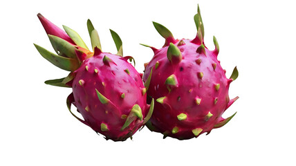 Collection of realistic pictures of dragon fruit
