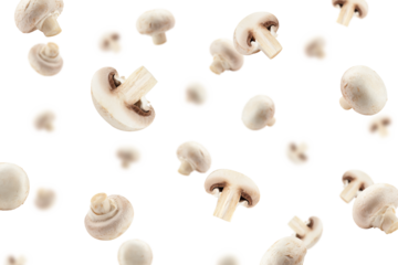 Falling champignon, mushroom, isolated on white background, full depth of field