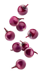 Falling red onion isolated on white background, full depth of field