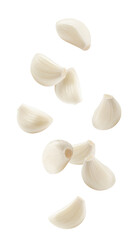 Falling garlic, isolated on white background, full depth of field