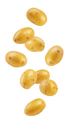 Falling potato, isolated on white background, full depth of field