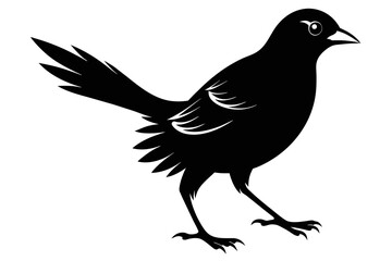  silhouette color image,Darcy bird ,vector illustration,white background