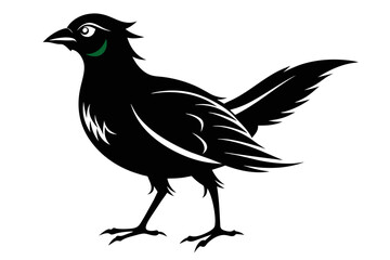 Fototapeta premium silhouette color image,Darcy bird ,vector illustration,white background