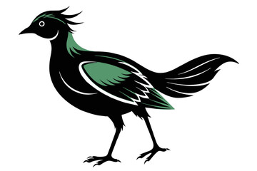  silhouette color image,Darcy bird ,vector illustration,white background