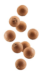 Falling coconuts whole, isolated on white background, full depth of field