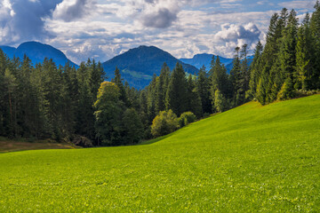 Mountain landscape in Tyrol - 773332544