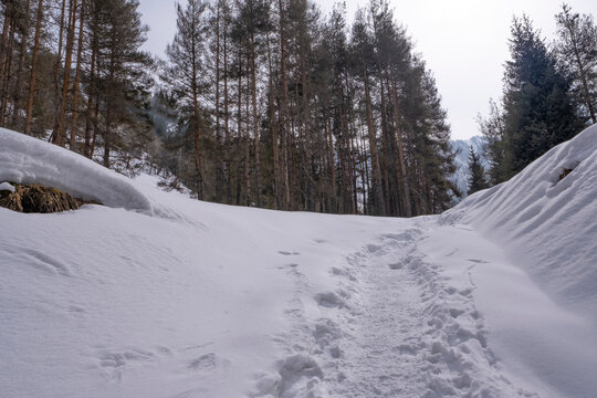 Path through the snow in the mountains. A walking route in a picturesque area.