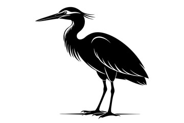 Indian pond heron or paddy bird black silhouette vector design.